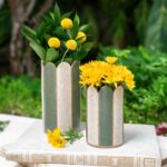 Vaso Raia